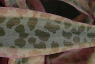 spotted leaf detail