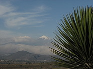 in habitat 3, leaf head and mountain closer