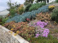 in a landscape in Silver Lake, California