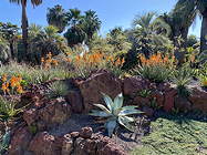 in the landscape